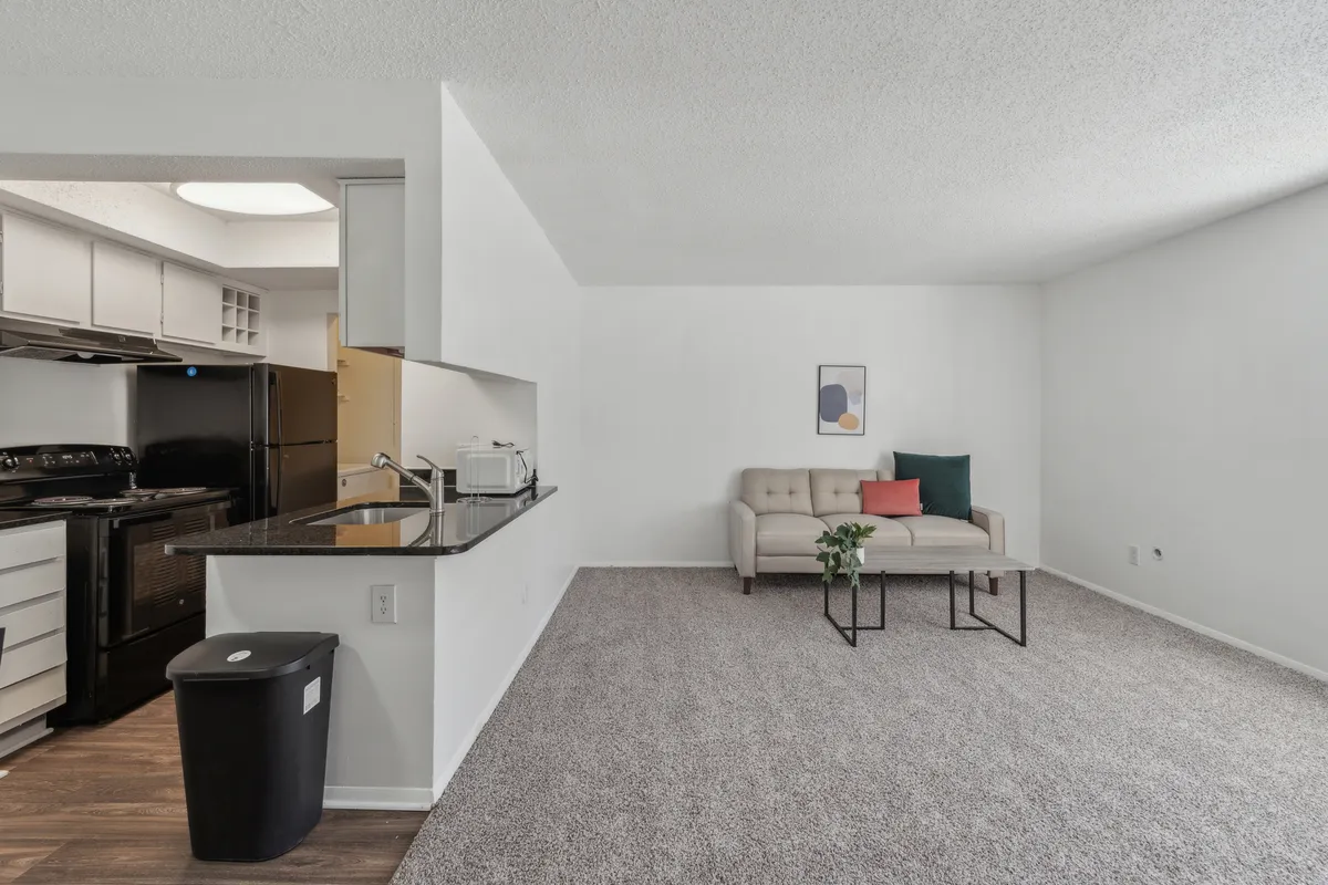 This image features a modern, open-concept living area with a comfortable sofa, coffee table, and a kitchen area visible in the background. The space is bathed in natural light, with contemporary furnishings and a clutter-free layout that emphasizes ease and relaxation.