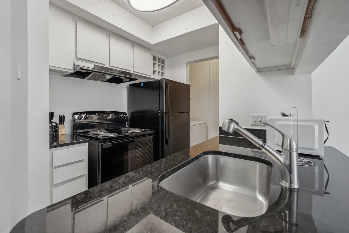 This image depicts a modern, well-equipped kitchen featuring a black refrigerator, stainless steel sink, and granite countertop. The scene is inviting and practical, suggesting a space ideal for both cooking and entertaining. The kitchen appears turnkey and ready for immediate use, aligning with a hassle-free living experience.